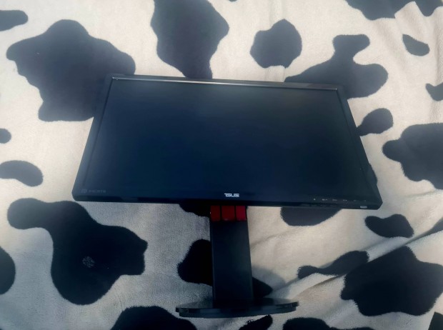 asus gaming monitor