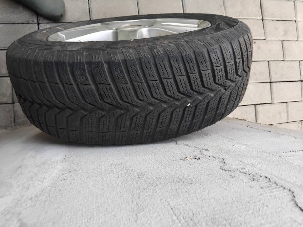 autofelni tli gumival