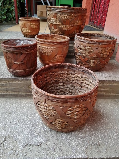bambusz kaspók