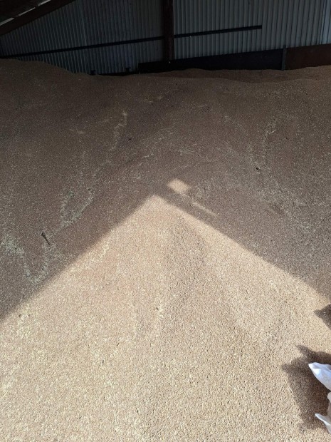 b�za nagy t�telben 68 ft