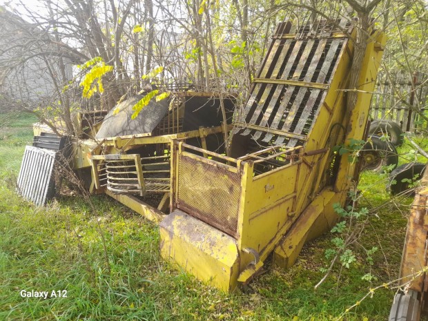 cukorr�pafelszed� �s tengelyei