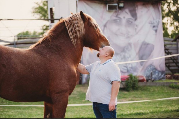 egyedi Amerikai hidegvr elad