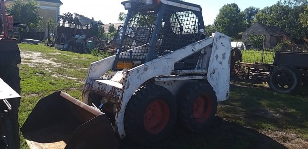 elad Bobcat