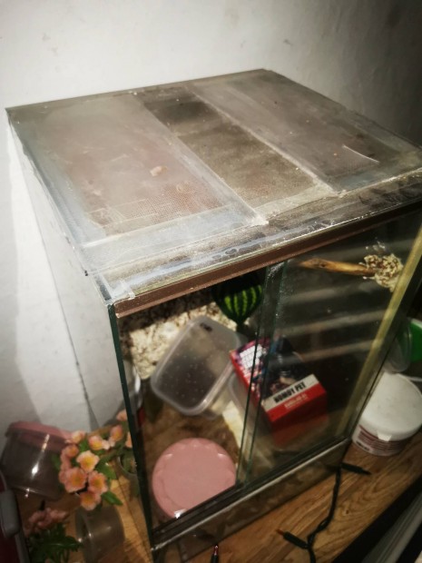 elad l terrarium 
