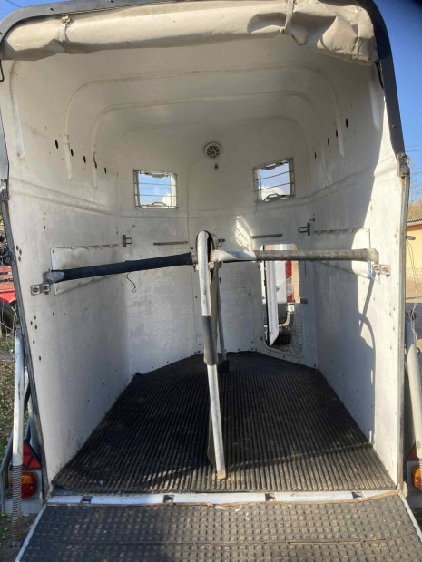 elad kettes bckman lszllt 