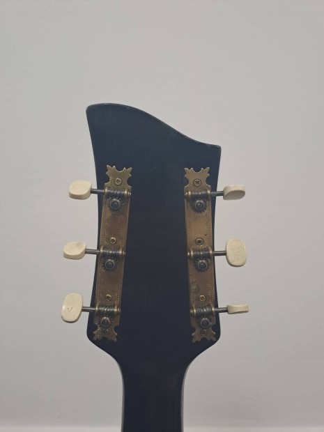 elad rgi jazz gitar 
