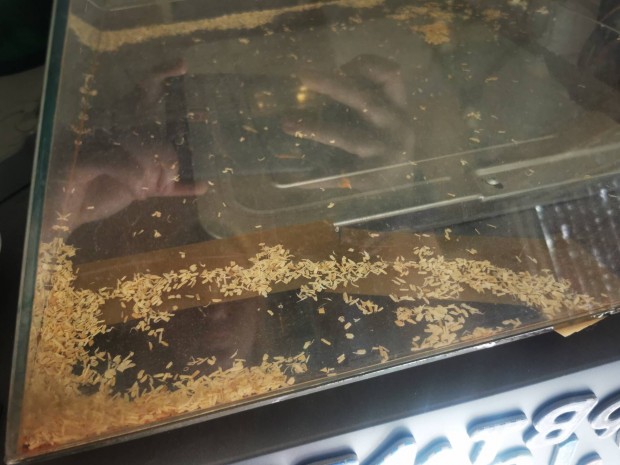 elad terrarium