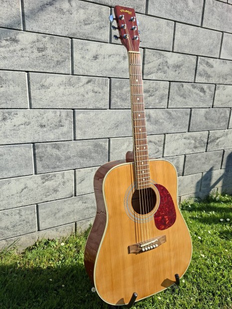 gitr, westerngitar 