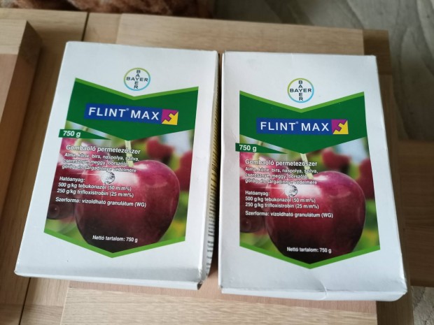 gombal (flint max)