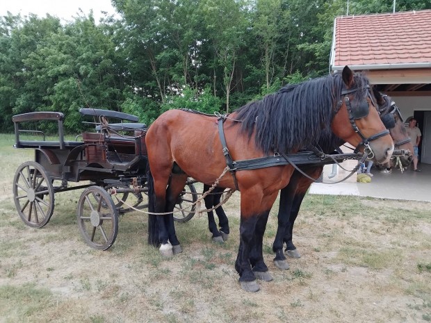 hint, vadszhint, jrhat kocsi