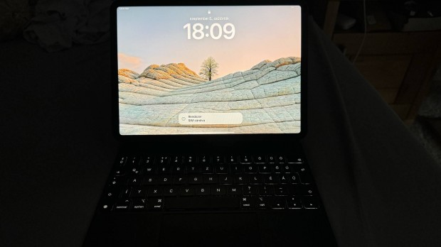 ipad Pro 11 3rd gen 512 Gb w+c elad