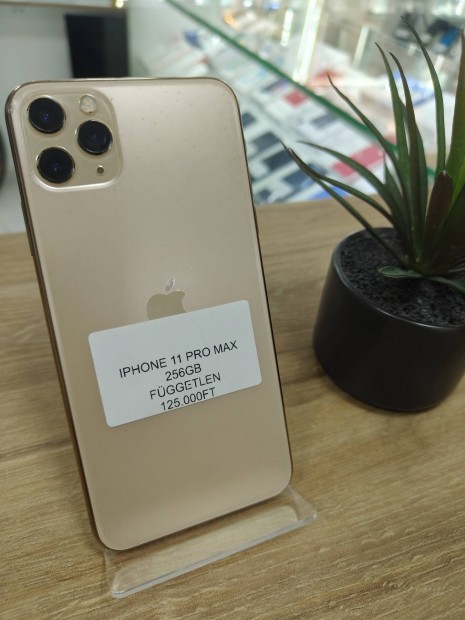 iphone 11 Pro Max 256gb fggetlen 