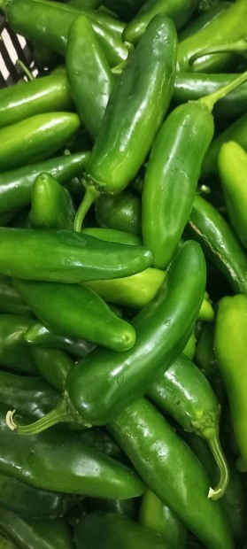 jalapeno chili paprika