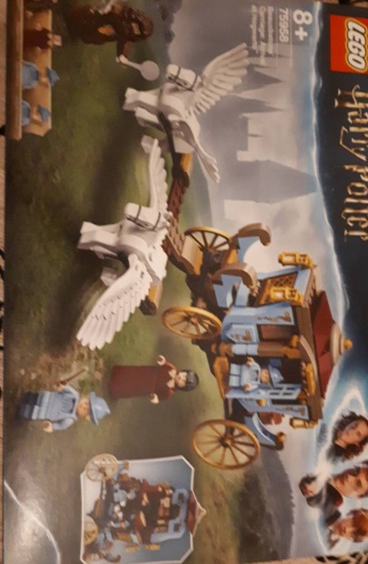 lego 75958 potter