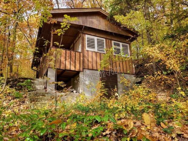 meseh�z az erd� �lel�s�ben 11969_bhi