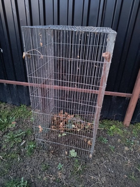 papagjketrecek, kalitka tbb mretben 