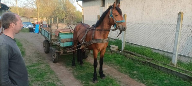 papros traktor 