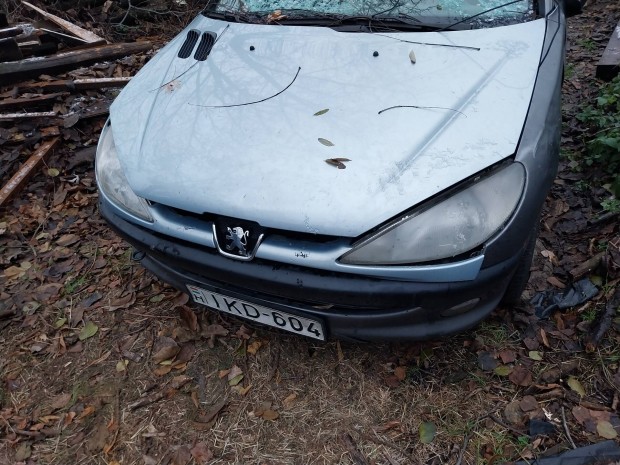 peugeot 206 1.9D bontdik