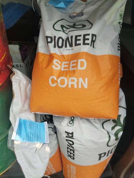 pioneer kukorica f�mz�rolt vet�mag