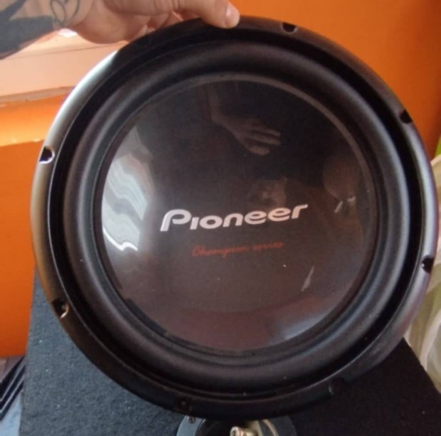 pioneer ts w309d4