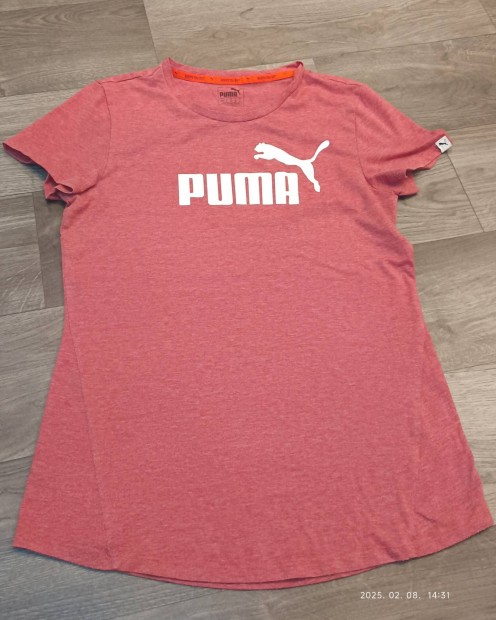 puma ni pl.  M 