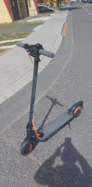 roller elads 