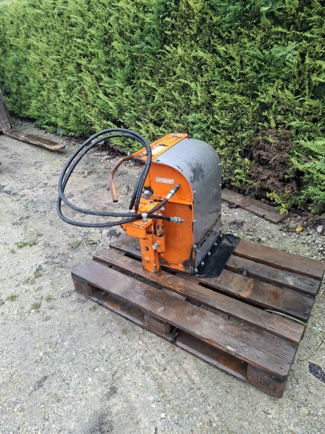 tsz�l� t�rzstisztit� soraljm�vel� Braun