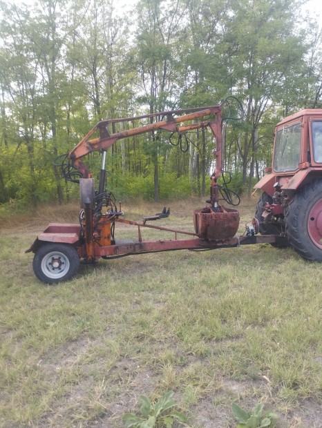 unhz 500 Mark elad 