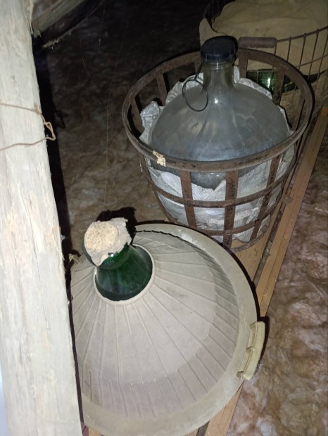 veg ballon elad 