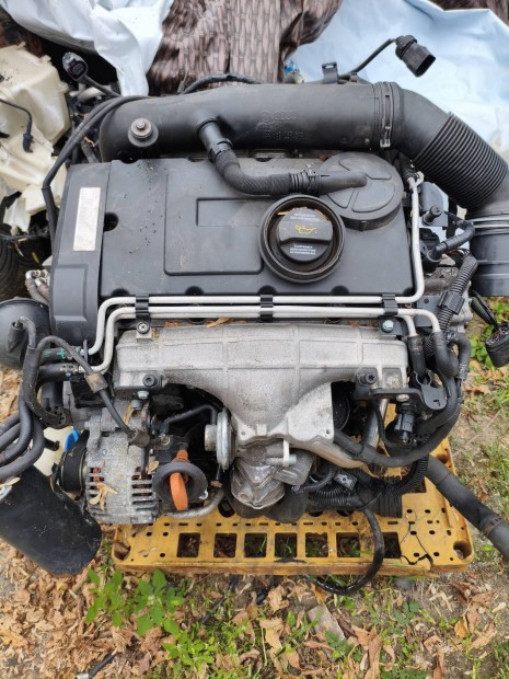 vw 2.0 16v pdtdi Bkd motor