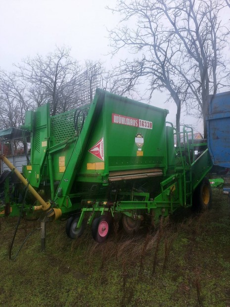 w�hlmaus,burgonya, s�rgar�pa szed�