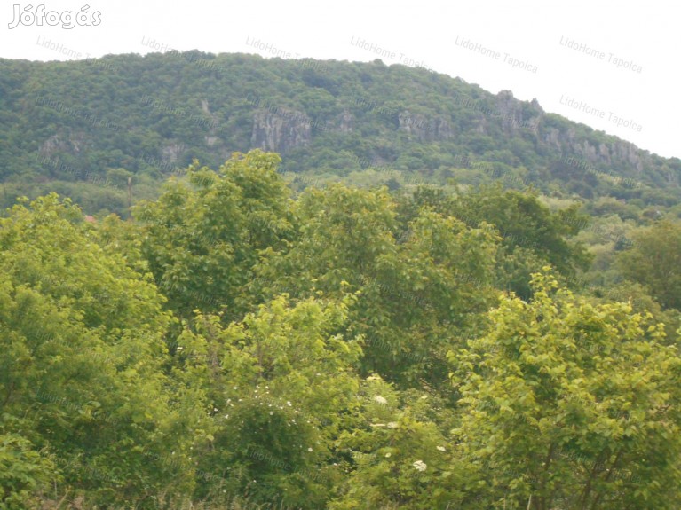 Badacsonytördemici Balatoni panoráma, kreatív befektetőjére vár ma!