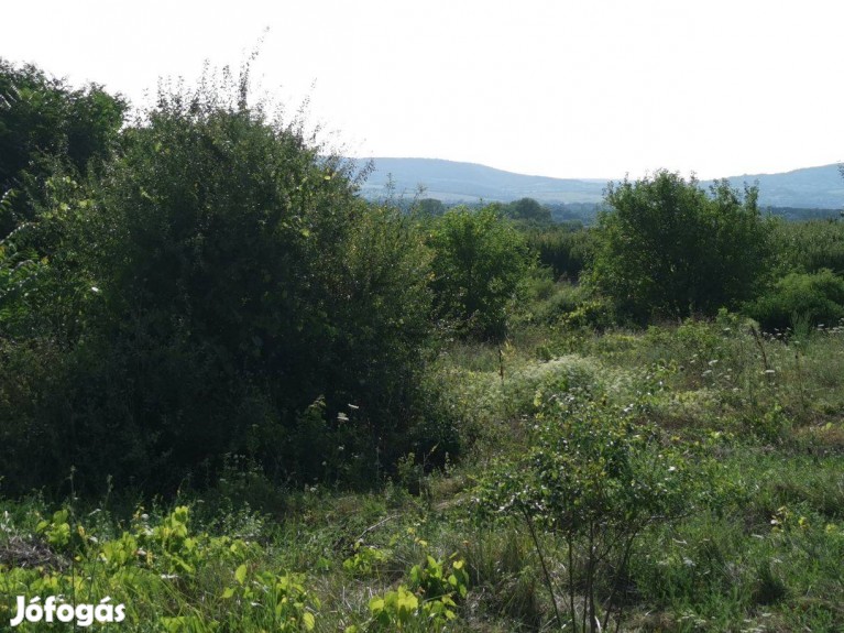 Balaton északi part, Szent György-hegy lábánál panorámás telek eladó!