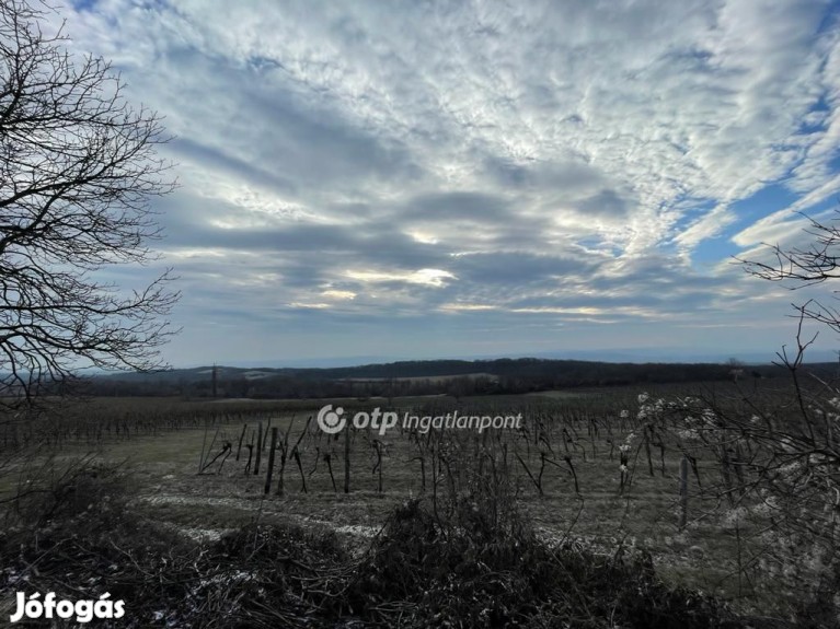 Eladó Telek, Csókakő