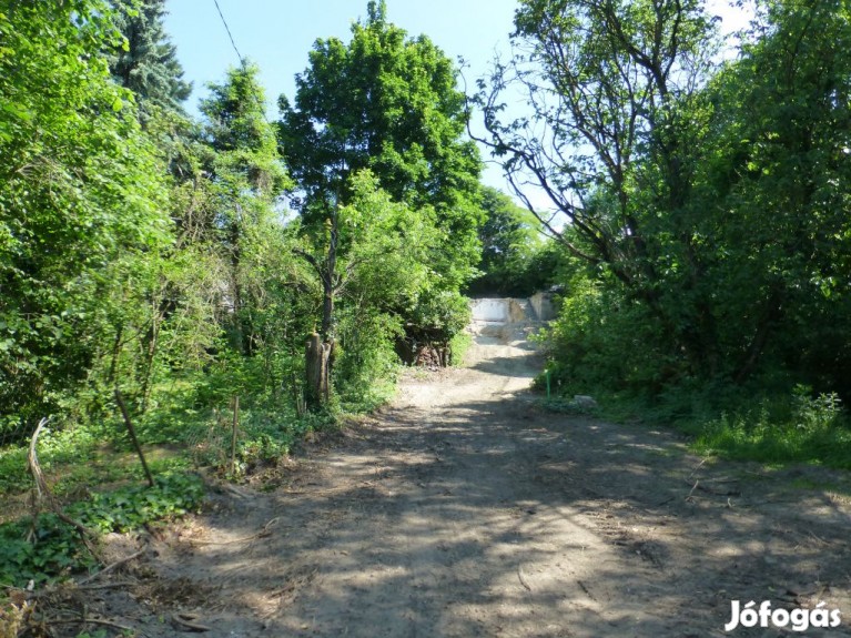 Kisoroszi, Széchenyi út, 1281 m2-es, telek