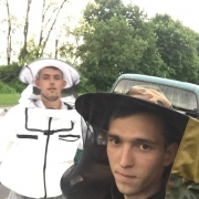 Profilkép