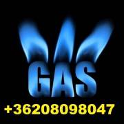 BERECZKY RÓBERT PÉTER