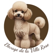 Elevage de la Ville Rose