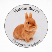 Törpenyúl Tenyészet