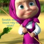 Profilkép