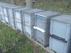 10 db méhcsalád hunor kaptárba kompletten