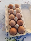 Amrock tojás keltetni