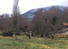 Badacsonyörsön belterületi, megosztható telek eladó