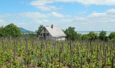 Balatongyörök-Becehegyen panorámás zártkerti ingatlan