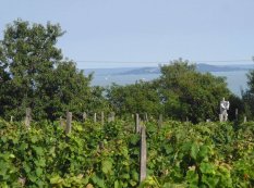 Balatongyörök-Becehegyen panorámás zártkerti ingatlan