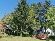 Balatoni panorámás épületkomplexum biokerttel Cserszegtomajon