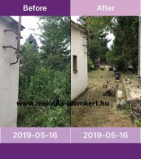 Bozót irtás, terület tisztítás, kertrendezés