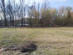 Csobajon, Tisza parti telkek eladók!