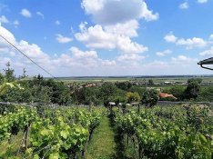 Csodálatos Panoráma