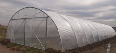 Eladó 8x30m-es új fóliasátor